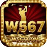 w567